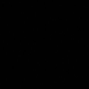 Meet your Posher, Roni